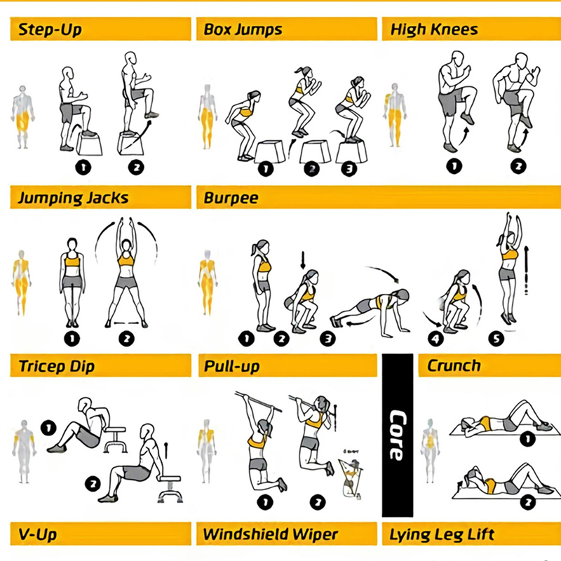 Постеры с таблицами упражнений – обзор и цена Sports Equipment Poster